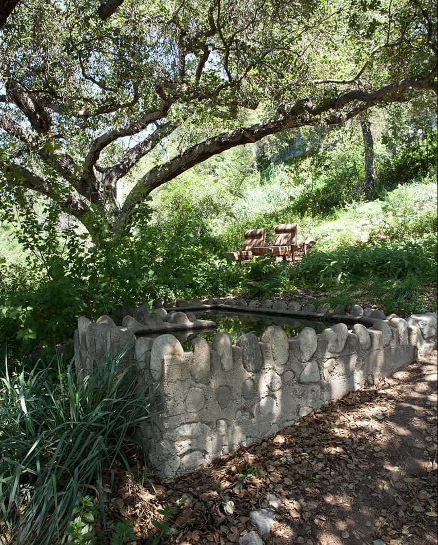 The LANPS garden with big oak tree